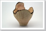 Vase aus Wurzelstock vom Apfelbaum : B 20 cm H 25 cm