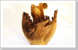 Wurzelholz Apfel : Breite 15 cm Höhe 30 cm